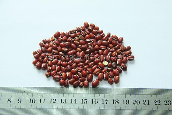 0093 赤小豆